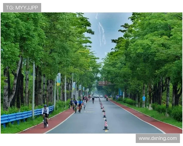 全运会骑行项目聚焦大湾区 路径与未来共绘绿色发展蓝图